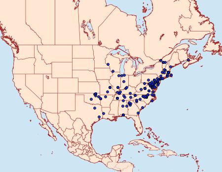 Distribution Data for Pyrausta rubricalis