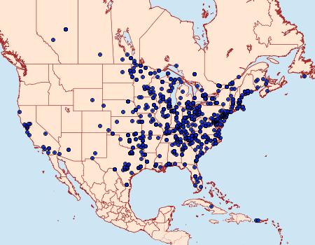 Distribution Data for Udea rubigalis