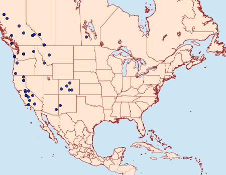 Distribution Data for Udea turmalis