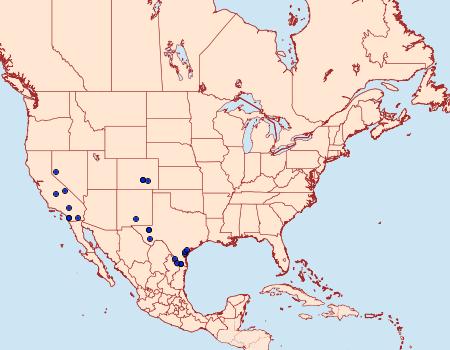 Distribution Data for Loxostegopsis polle