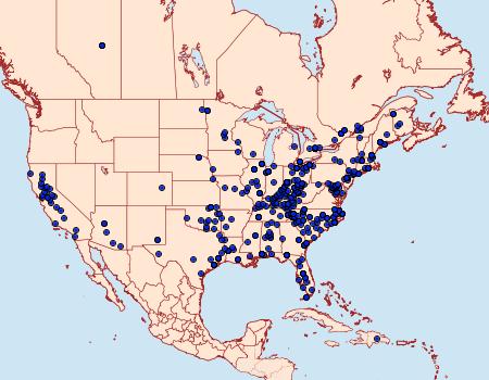 Distribution Data for Desmia funeralis