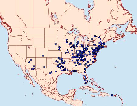 Distribution Data for Blepharomastix ranalis