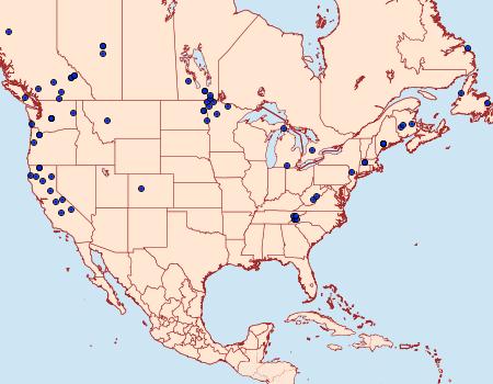 Distribution Data for Crambus pascuella