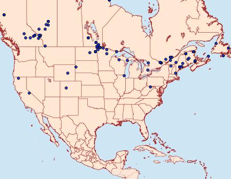Distribution Data for Crambus perlella