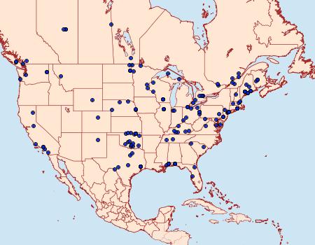 Distribution Data for Crambus leachellus