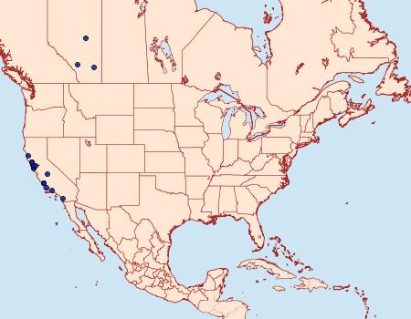 Distribution Data for Crambus occidentalis
