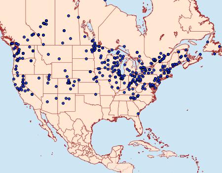 Distribution Data for Chrysoteuchia topiarius