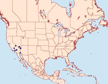 Distribution Data for Anemosella nevalis
