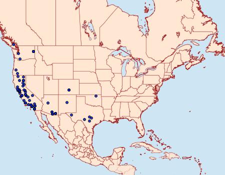 Distribution Data for Arta epicoenalis