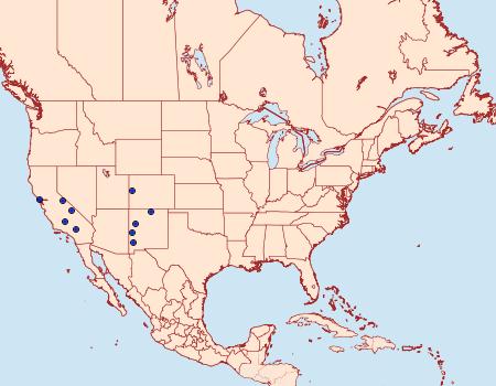 Distribution Data for Dasypyga salmocolor