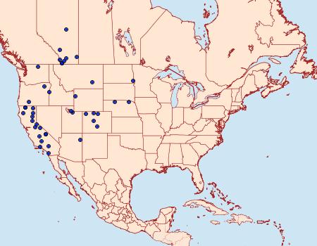 Distribution Data for Ambesa laetella