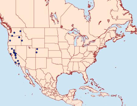 Distribution Data for Ambesa walsinghami
