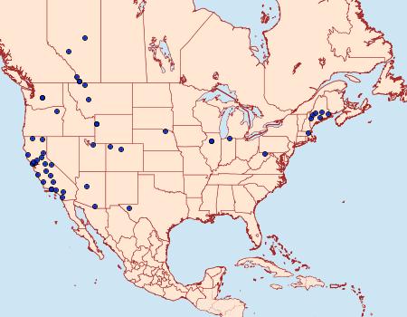 Distribution Data for Telethusia ovalis