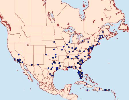 Distribution Data for Elasmopalpus lignosella