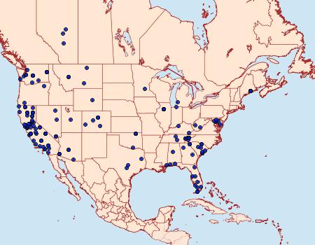 Distribution Data for Phycitodes mucidella