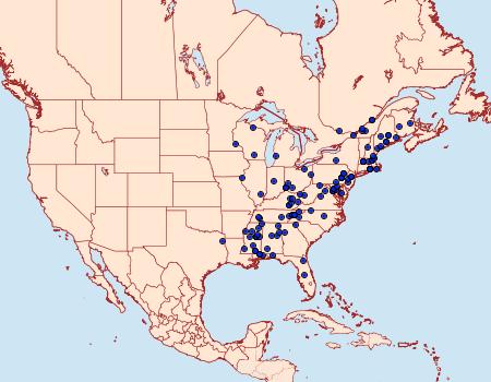 Distribution Data for Caloptilia bimaculatella