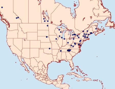 Distribution Data for Vitula broweri