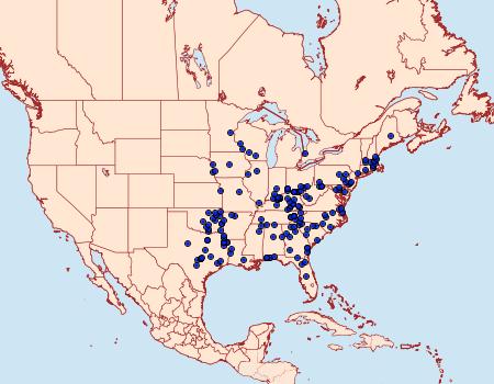 Distribution Data for Pseudothyris sepulchralis