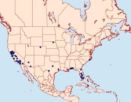 Distribution Data for Dejongia californicus