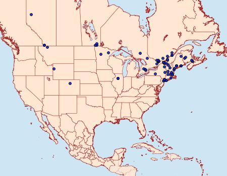Distribution Data for Dejongia lobidactylus