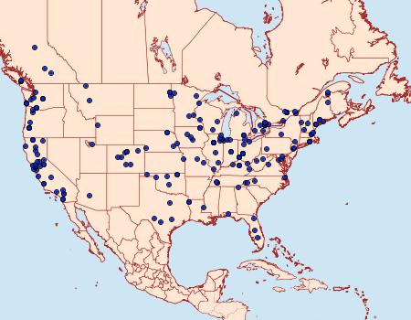 Distribution Data for Platyptilia carduidactylus