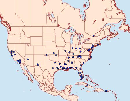 Distribution Data for Lioptilodes albistriolatus