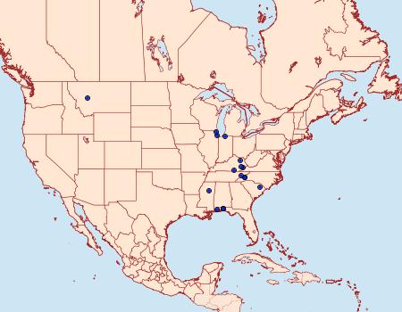 Distribution Data for Paraplatyptilia carolina