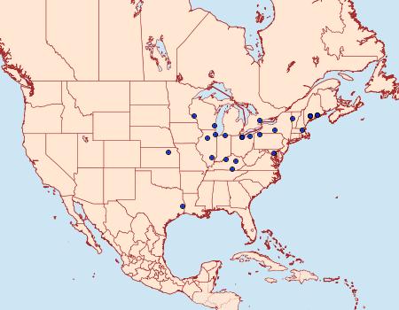 Distribution Data for Hellinsia elliottii