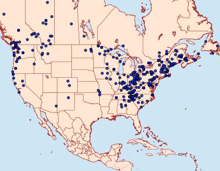 Distribution Data for Pseudothyatira cymatophoroides