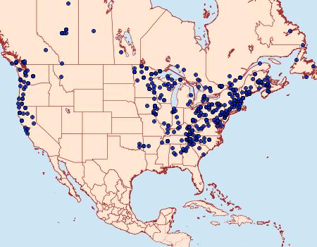 Distribution Data for Drepana arcuata
