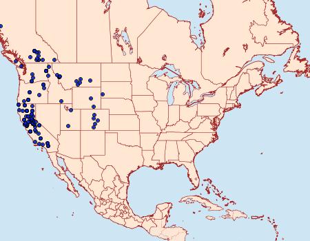 Distribution Data for Macaria adonis