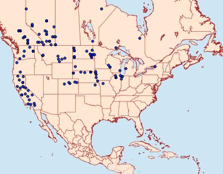 Distribution Data for Digrammia denticulata