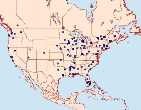 Distribution Data for Caloptilia stigmatella