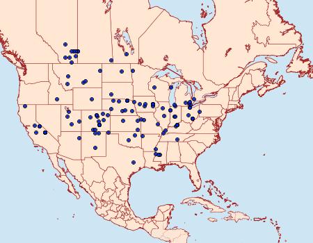 Distribution Data for Digrammia subminiata