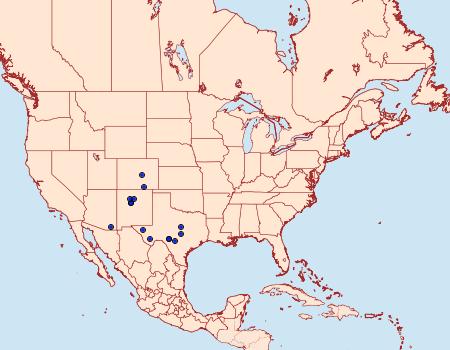 Distribution Data for Glena furfuraria
