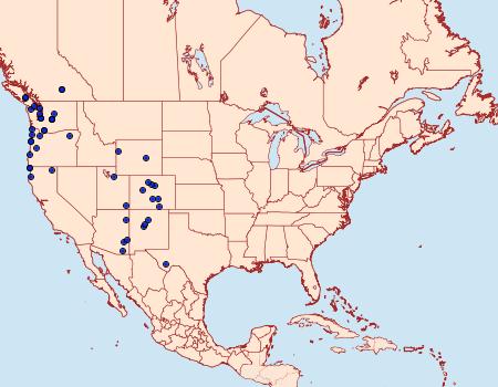 Distribution Data for Iridopsis emasculatum