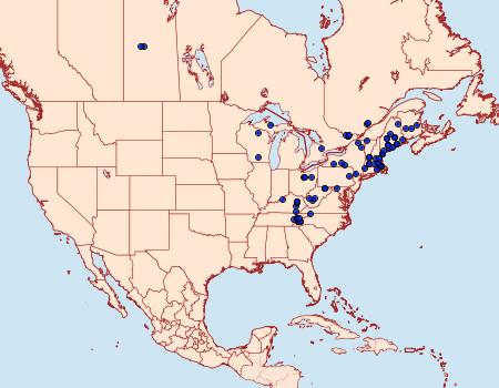 Distribution Data for Eufidonia notataria