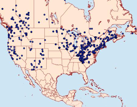 Distribution Data for Biston betularia