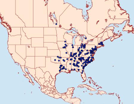 Distribution Data for Hypagyrtis esther