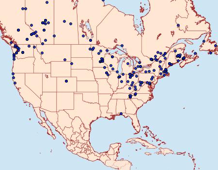 Distribution Data for Cabera erythemaria