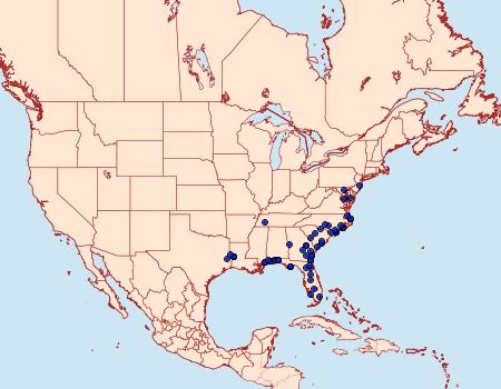 Distribution Data for Episemasia solitaria