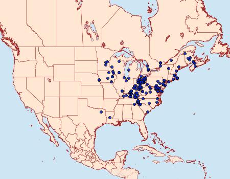 Distribution Data for Metarranthis hypochraria