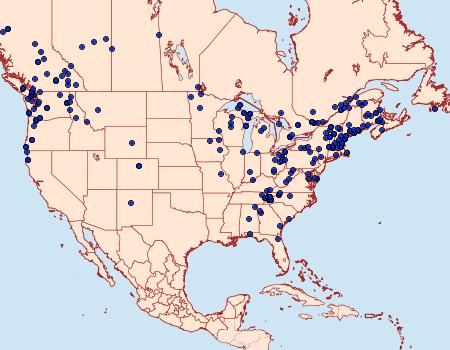 Distribution Data for Lambdina fiscellaria
