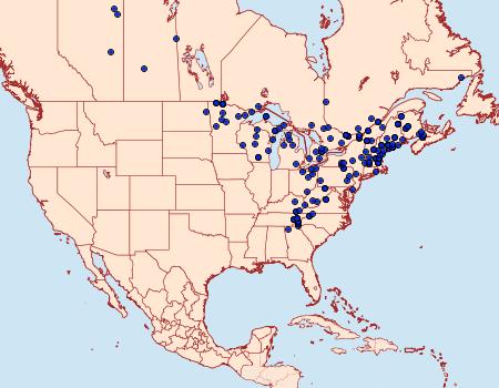 Distribution Data for Nepytia canosaria
