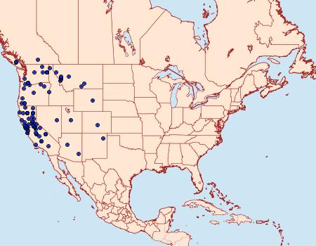 Distribution Data for Tetracis cervinaria