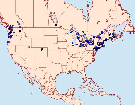 Distribution Data for Idaea dimidiata