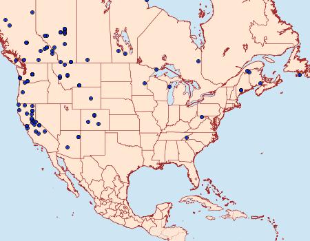 Distribution Data for Eulithis propulsata