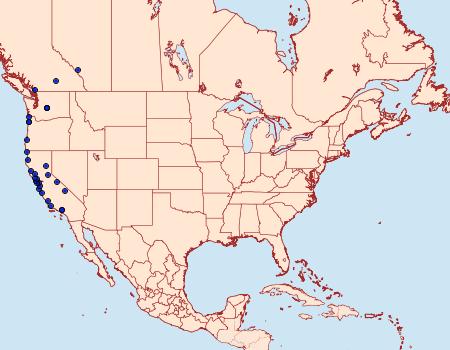 Distribution Data for Hydriomena quinquefasciata