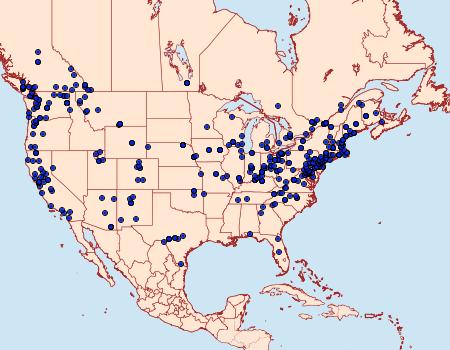 Distribution Data for Rheumaptera meadii