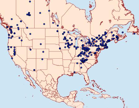 Distribution Data for Euphyia intermediata